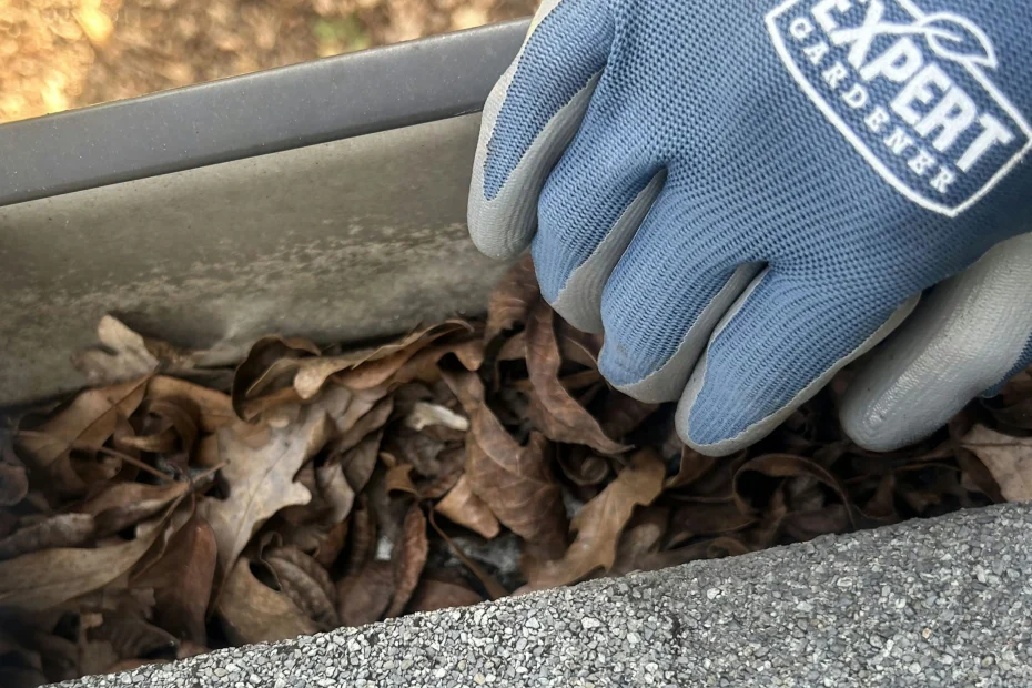 Saint Matthews Gutter Cleaning