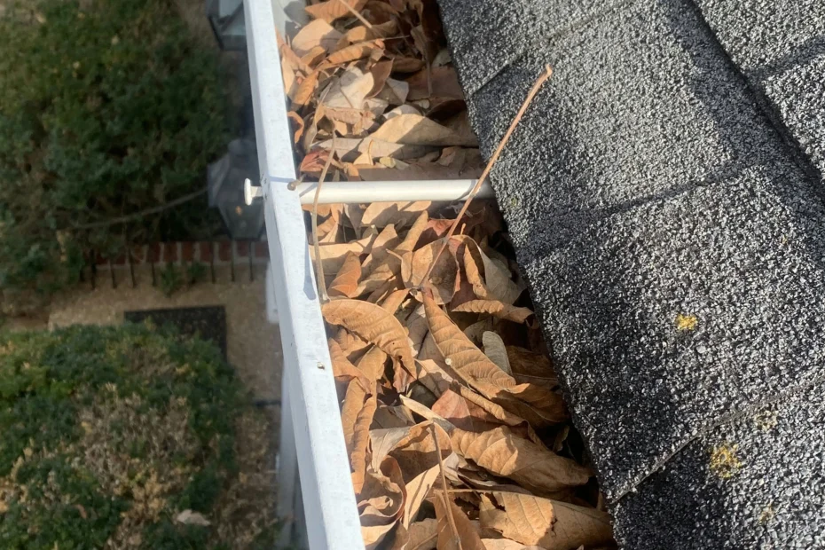 Gutter Cleaning Saint Matthews